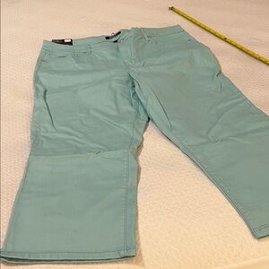 Nine West Nile Blue Wide-Leg Capris